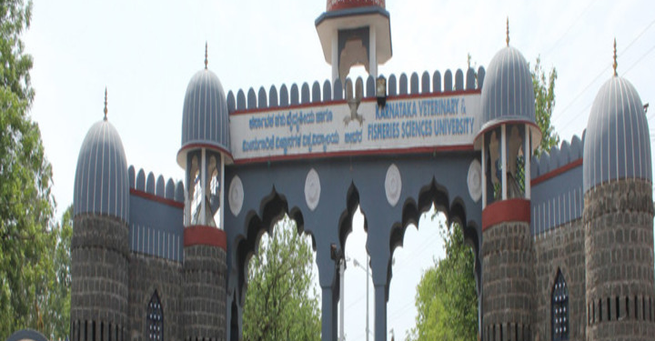 KVAFSU, Karnataka MBA Admission 2022 | Fee, Syllabus, Last Date KVAFSU, Karnataka MBA Admission 2022 | Fee, Syllabus, Last Date